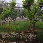 Tara Apartman *