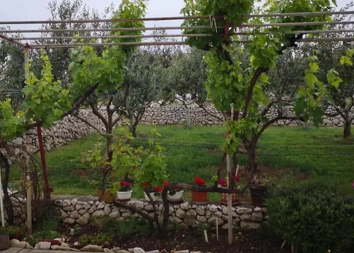 Tara Апартаменты *